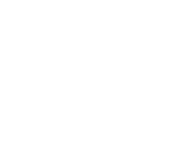 1981 the Personal Computing Revolution